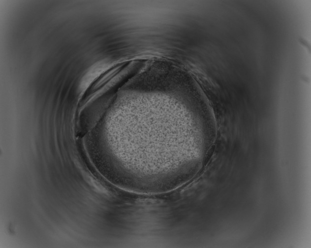 X0000095690242200801221253