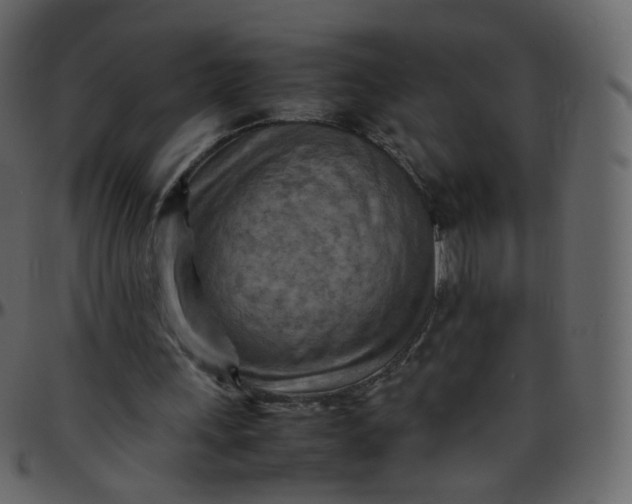 X0000095690243200801221253