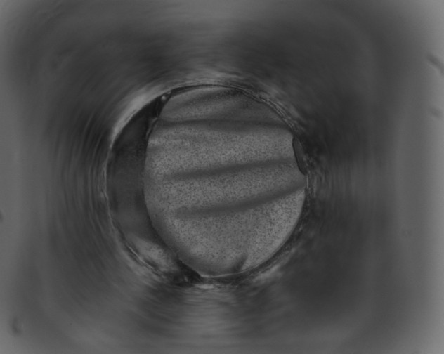 X0000095690244200801221253