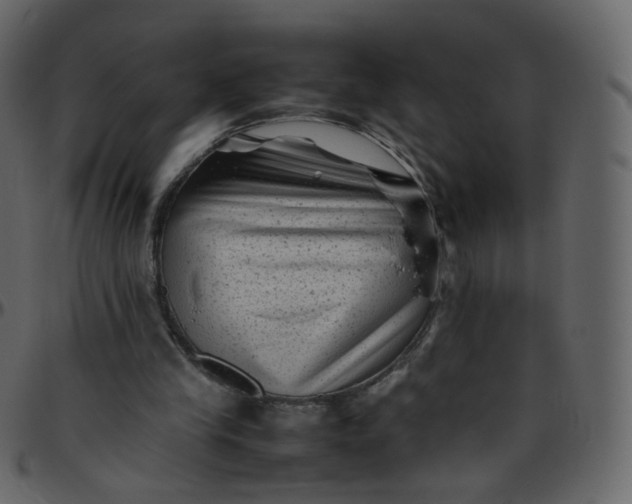 X0000095690245200801221253