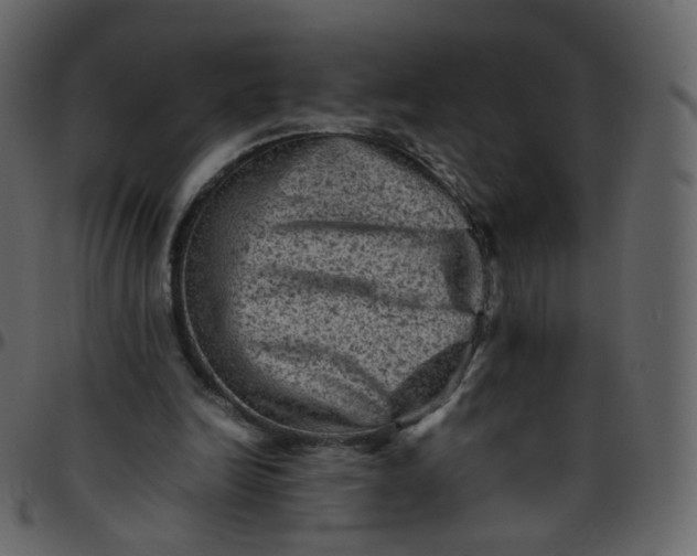 X0000095690246200801221253