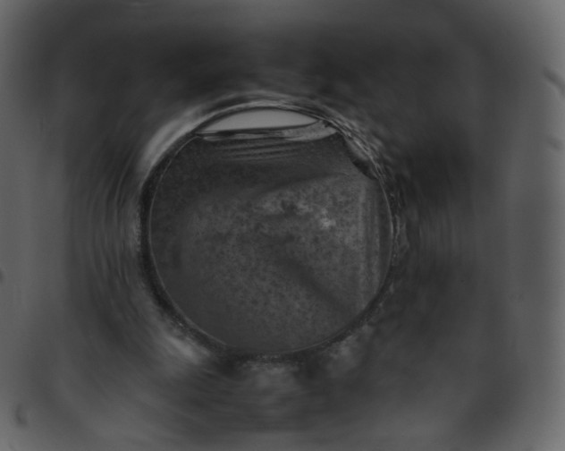 X0000095690247200801221253