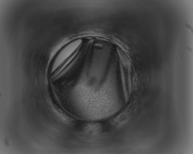 X0000095690248200801221253