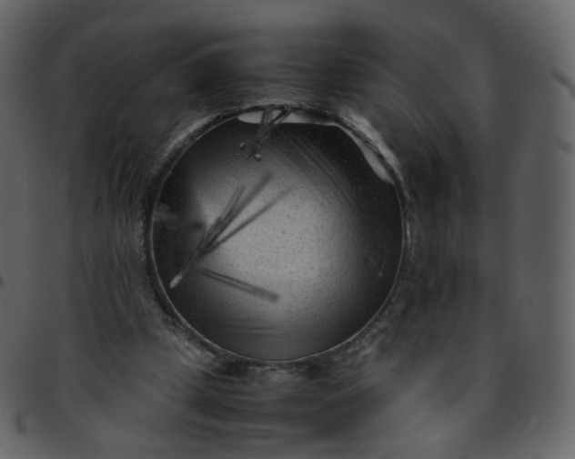 X0000095690249200801221253