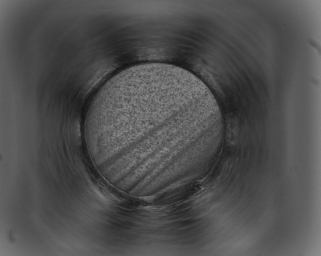 X0000095690251200801221253