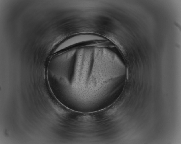 X0000095690253200801221253