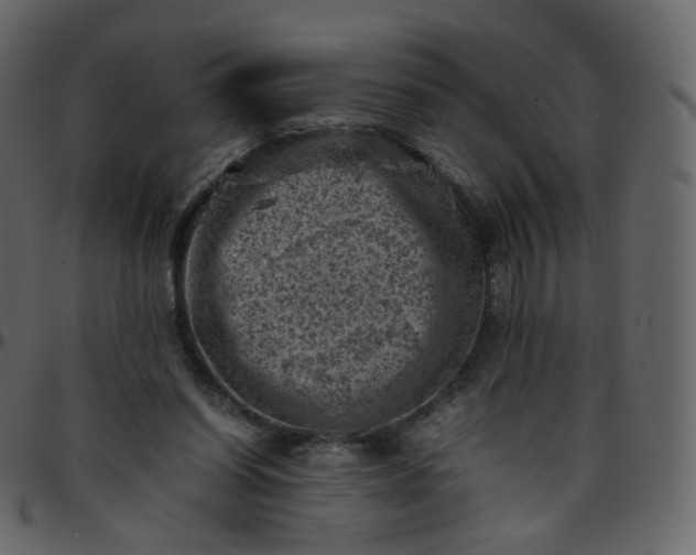 X0000095690254200801221253