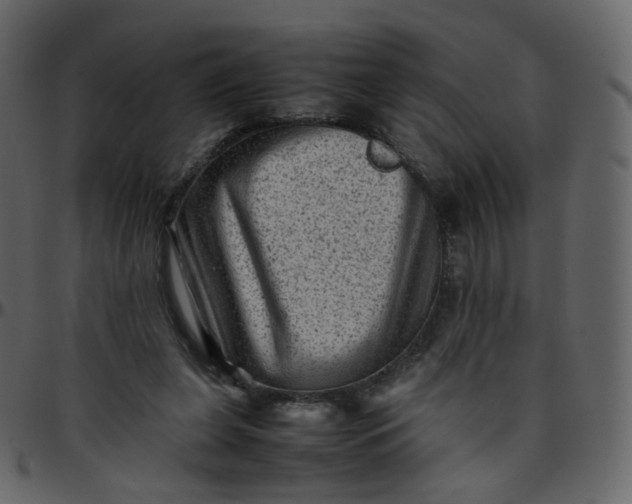 X0000095690255200801221253