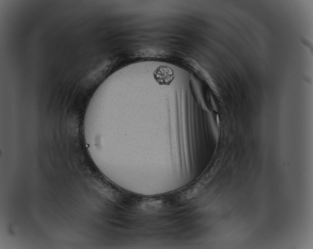 X0000095690257200801221253