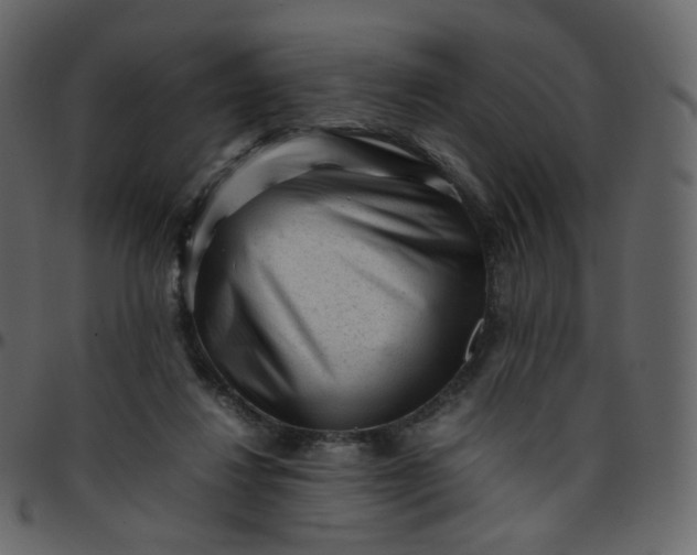 X0000095690260200801221253