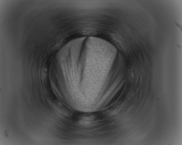 X0000095690263200801221253