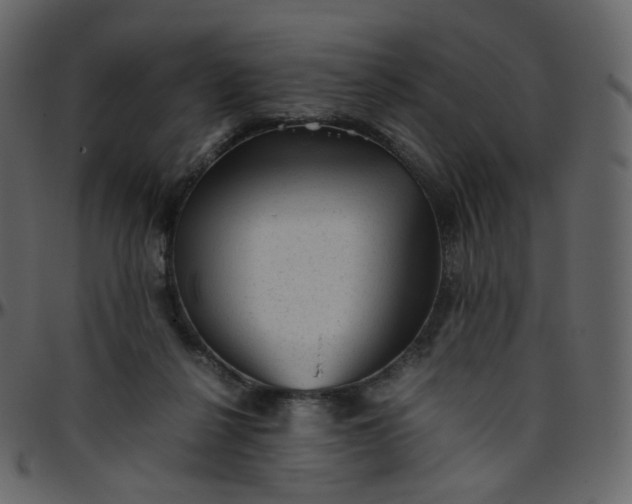 X0000095690264200801221253