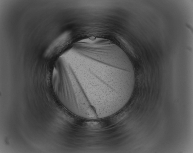 X0000095690265200801221253