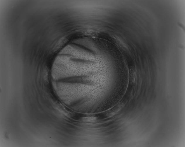 X0000095690266200801221253