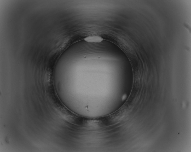 X0000095690268200801221253