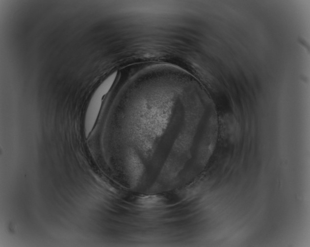 X0000095690269200801221253