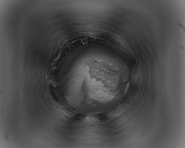 X0000095690270200801221253