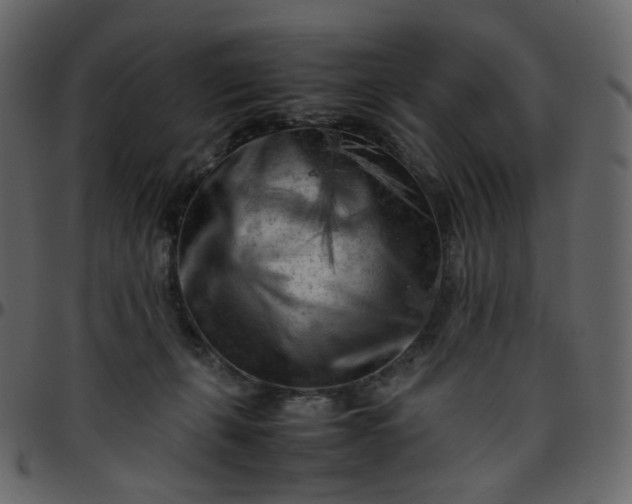 X0000095690271200801221253