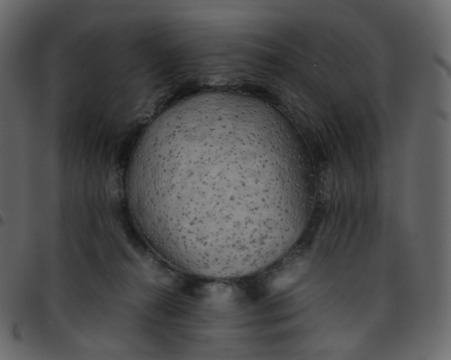 X0000095690272200801221254