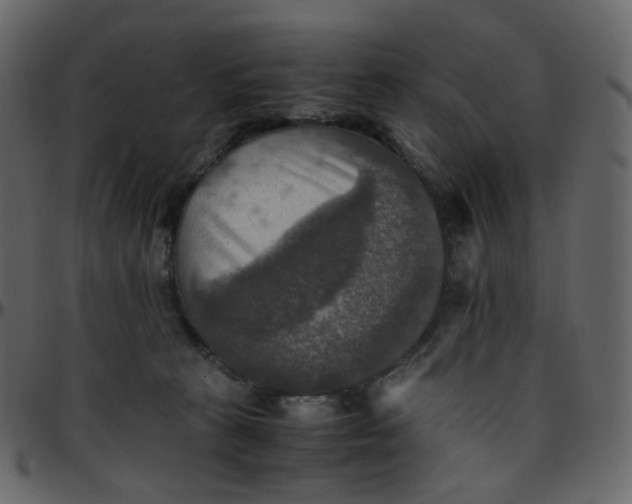 X0000095690273200801221254