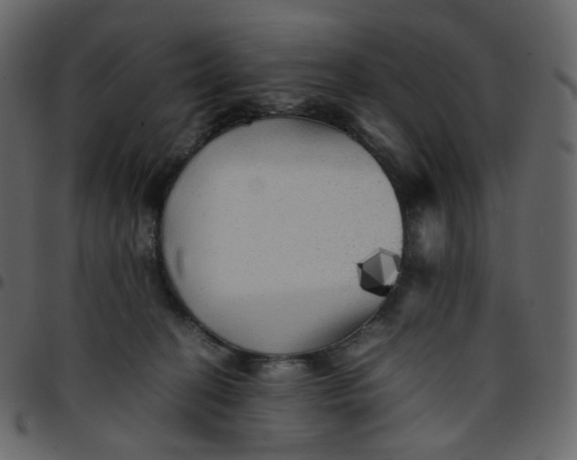 X0000095690274200801221254