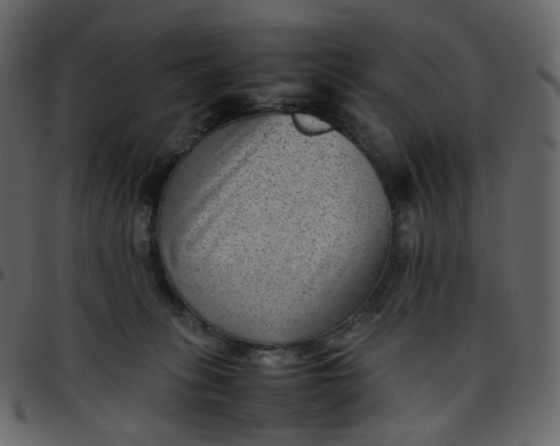 X0000095690275200801221254