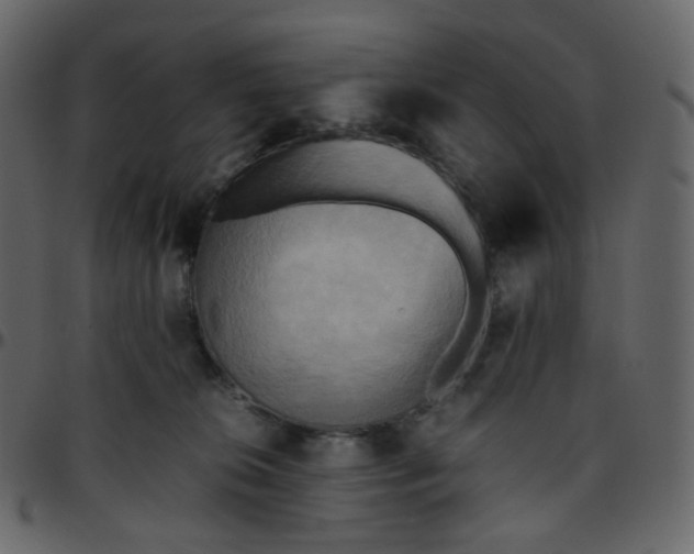 X0000095690276200801221254