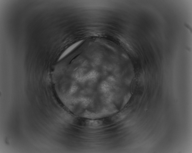 X0000095690277200801221254