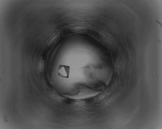 X0000095690278200801221254