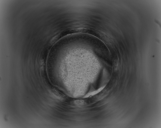 X0000095690279200801221254