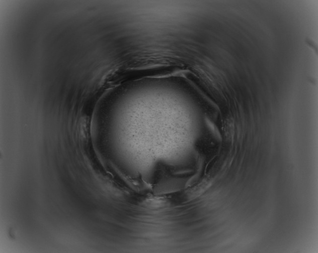 X0000095690280200801221254