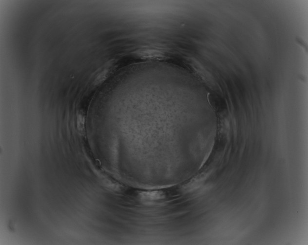 X0000095690281200801221254