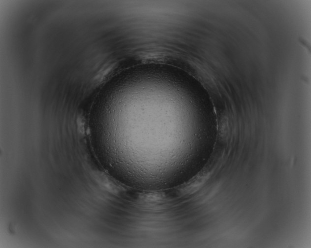 X0000095690282200801221254