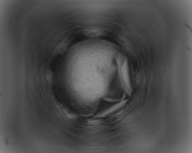 X0000095690283200801221254