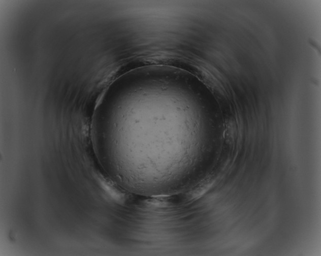 X0000095690284200801221254