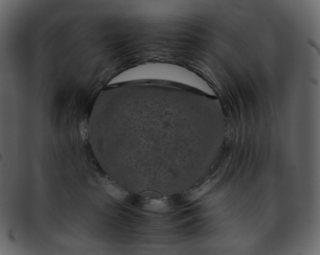 X0000095690285200801221254