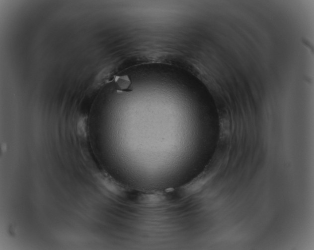 X0000095690286200801221254