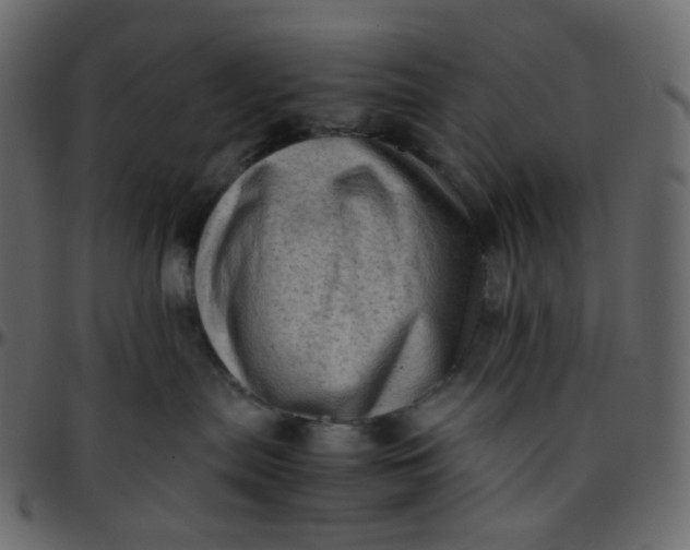 X0000095690287200801221254