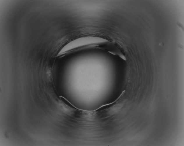 X0000095690288200801221254