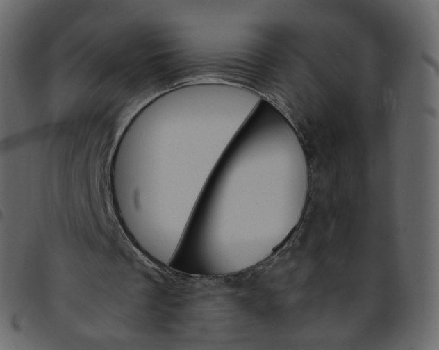 X0000095690289200801221253