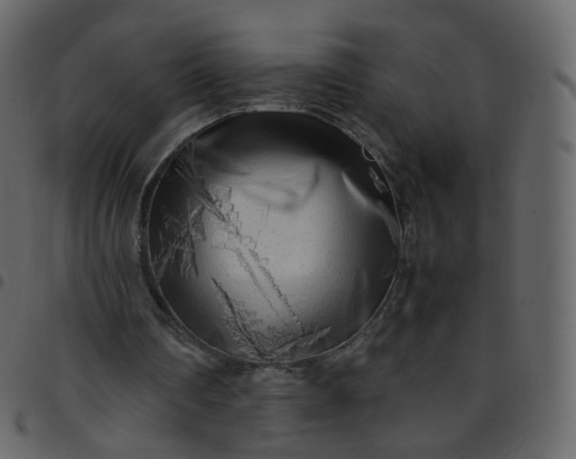 X0000095690290200801221253