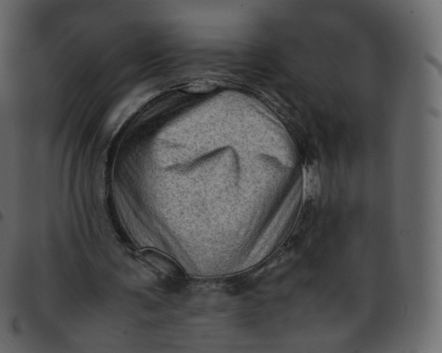 X0000095690291200801221253