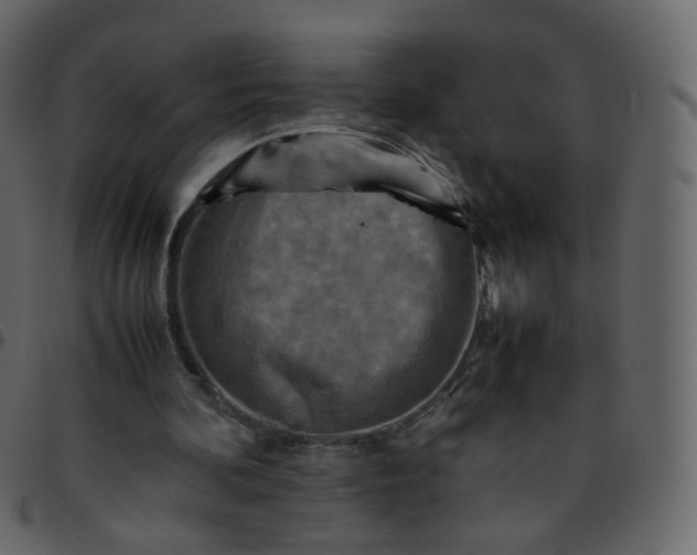 X0000095690292200801221253