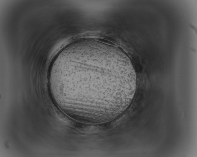 X0000095690293200801221253