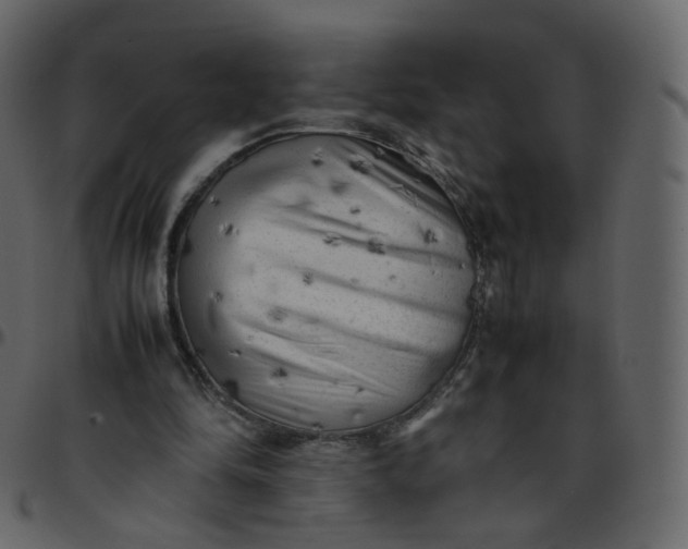 X0000095690294200801221253