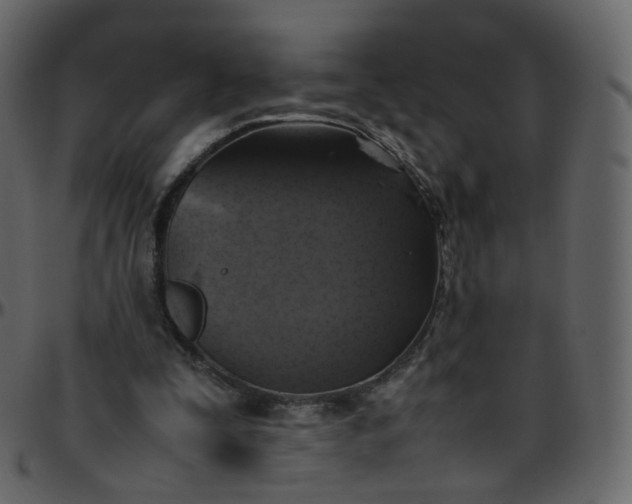 X0000095690295200801221253