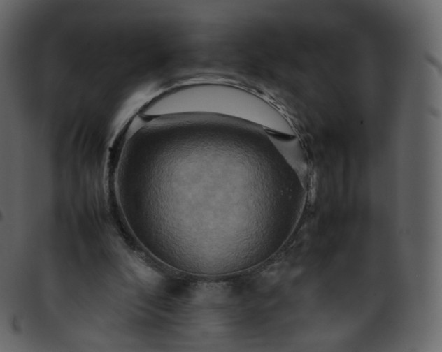 X0000095690296200801221253