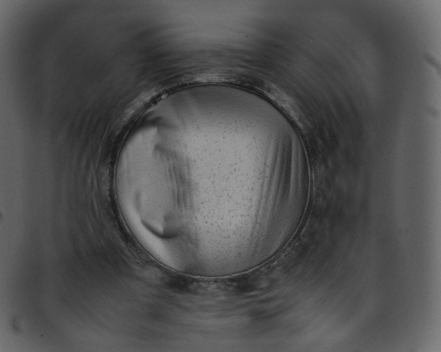 X0000095690297200801221253