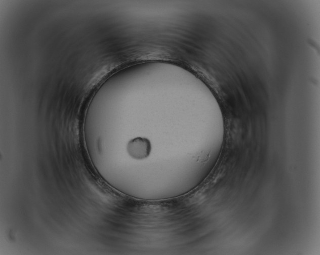 X0000095690298200801221253