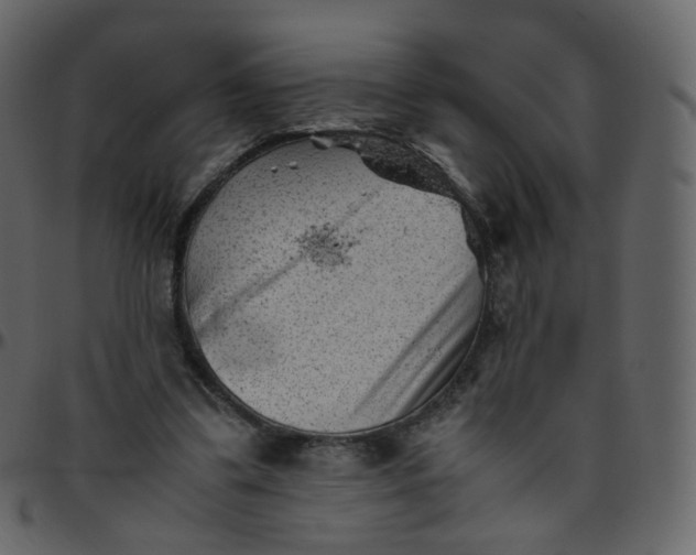 X0000095690299200801221253